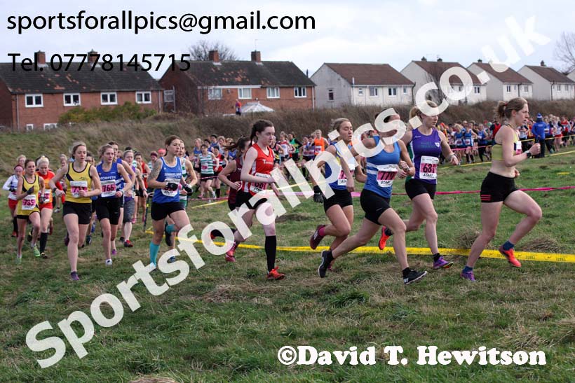 Senior womens North Eastern Cross Country, 2018 Northern Cross Country Champs., Wrekenton, Gateshead. Photo:  David T. Hewitson/Sports for All Pics
